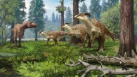 A group of Parasaurolophus cyrtocristatus being confronted by a tyrannosaurid in the subtropical forests of New Mexico 75 million years ago. Image credit: Andrey Atuchin.