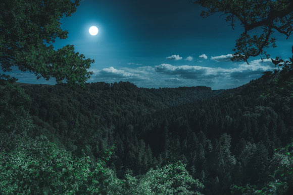 Sleep varies to a greater extent across the lunar cycle in men. Image credit: Florian Kurz.