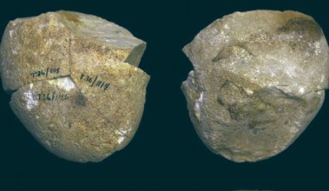 The 357,000-year-old abrading tool from Tabun Cave, Mount Carmel, Israel. Image credit: Shimelmitz et al., doi: 10.1016/j.jhevol.2020.102909.