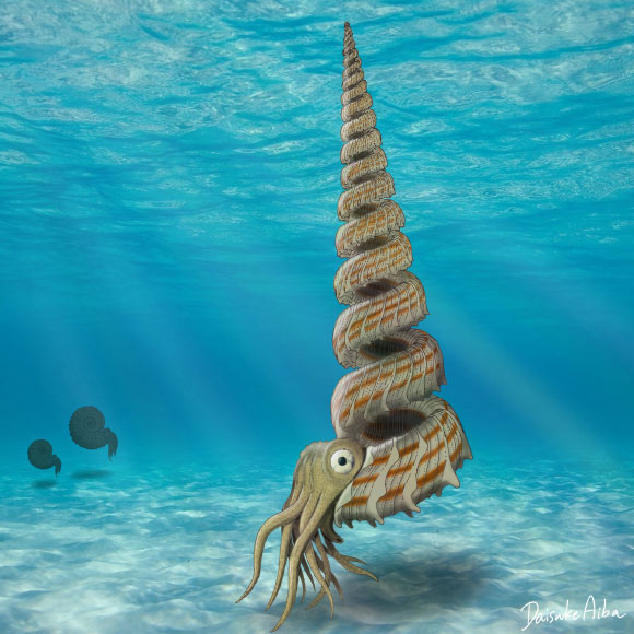 Life reconstruction of Yezoceras elegans. Image credit: Daisuke Aiba.