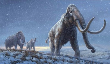 Life reconstruction of the steppe mammoth (Mammuthus trogontherii). Image credit: Beth Zaiken / Centre for Palaeogenetics.