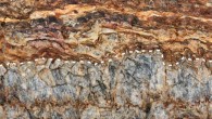 Barite associated with originally sulfidic stromatolites in the Dresser mine in Western Australia. Image credit: Mißbach et al., doi: 10.1038/s41467-021-21323-z.