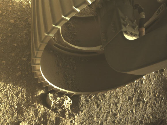 This image shows one of the six wheels of NASA’s Perseverance Mars rover. Image credit: NASA / JPL-Caltech.