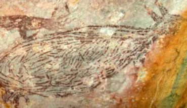 A naturalistic painting of a kangaroo in Australia. Image credit: Peter Veth / Balanggarra Aboriginal Corporation / Pauline Heaney.