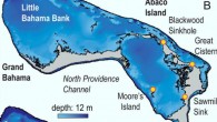 Human arrival in the northern Bahamas: (A) Blackwood Sinkhole and key localities for inferring Lucayan migration patterns through The Bahamas; Church’s Bluehole provides pollen and charcoal evidence of late Holocene vegetation change; archaeological evidence from the Coralie Site (Grand Turk) and Three Dog Site (San Salvador) documents human arrival in the southern Bahamas by about 750 CE; red arrows highlight Lucayan migration in less than 100 years; (B) Blackwood Sinkhole and key sites providing evidence for Lucayan occupation on Great Abaco Island; (C) aerial photo of Blackwood Sinkhole showing proximity to the nearby wetlands and the Atlantic Ocean. Image credit: Fall et al., doi: 10.1073/pnas.2015764118.