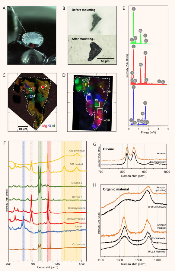 The chemical distribution and mineralogy of the Amazon particle from the S-type asteroid Itokawa: (A) image showing Amazon being picked up using a glass needle with platinum wires at JAXA; (B) photomicrograph taken in visible light of Amazon before and after being mounted into indium; (C) EDX combined Mg-Si-Al X-ray maps (Mg is red, Si is blue, Al is green) of Amazon, grids are 10 µm in size; locations of EDX spectra in (E) are shown as points 1-3, and (D) Raman map of Amazon showing mineralogical distribution of olivine (green), plagioclase (blue), pyroxene (red) and OM (yellow); locations of primitive OM (p-OM) and mature OM (m-OM) are marked by the italicized annotations, NanoSIMS spot analyses of albite (Ab), olivine (Ol) and pyroxene (Py) are marked as open squares, and the area of NanoSIMS imaging analysis is marked as dashed square; (E) EDX spectra of olivine, pyroxene and albite, locations of the points are shown in (C); and (F) selected Raman spectra of the mineral and organic components in Amazon; peak positions of their characteristic Raman modes are shown as the dotted lines in their corresponding colors; (G) selected Raman spectra of Amazon olivine compared to heated chondrite LL5 Alta-ameem; (H) Selected Raman spectra of Amazon organics compared to that of primitive and heated chondrites. Image credit: Chan et al., doi: 10.1038/s41598-021-84517-x.