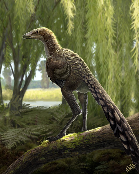 Life reconstruction of Tamarro insperatus (adults were 1.5-2 m in length and had a mass of 20 kg). Image credit: Oscar Sanisidro / Institut Català de Paleontologia Miquel Crusafont / Museu de la Conca Dellà.