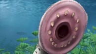 This reconstruction of the Late Devonian estuarine lake at Waterloo Farm in South Africa captures the life history of an ancient lamprey species called Priscomyzon riniensis. Three individuals representing different ontogenetic stages take a shelter in the meadow of charophyte algae Octochara crassa. Clockwise from right: a yolk-sac-carrying hatchling tucked in the charophyte; a juvenile attached to the substrate in the foreground, and an adult looming over the other individuals and showing its feeding apparatus. In the background, a school of the coelacanth Serenichthys kowiensis swims by. Image credit: Kristen Tietjen.