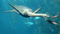 Life reconstruction of an aristonectine plesiosaur. Image credit: Nobu Tamura, http://spinops.blogspot.com / CC BY-SA 4.0.