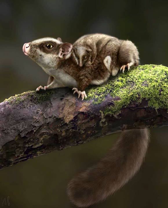 Life reconstruction of Vilevolodon diplomylos showing a parent and offspring. Image credit: Sarah Shelley.
