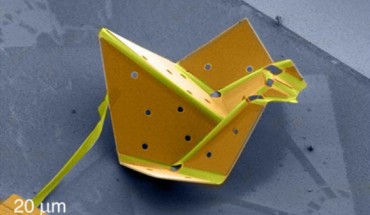 Microscale origami duck transforming from a flat sheet and holding its 3D shape. Image credit: Liu et al.