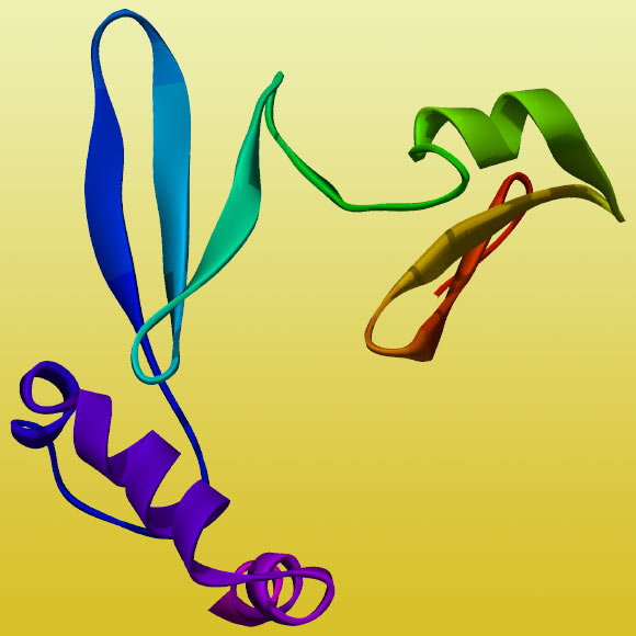 Theoretical structure of ghrelin. Image credit: Manuel Almagro Rivas / CC BY-SA 4.0.