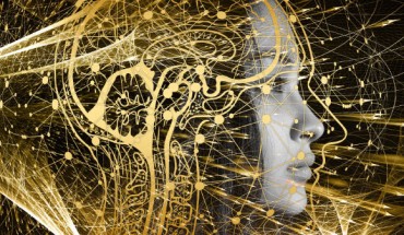 Naqvi et al. recently developed a data-driven approach to phenotyping complex, multidimensional traits; this multivariate approach, when applied to facial surface images, revealed numerous genomic loci with no previously known role in human face shape variation; in the new study, the team implemented this approach to discover associations between common genetic variants and brain shape, using MRI data from middle-aged participants in the UK Biobank. Image credit: Gerd Altmann.