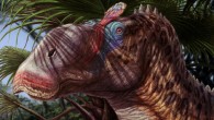 https://en.wikipedia.org/wiki/Dinosaur_Park_Formation