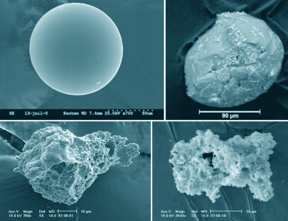 These SEM images show cosmic spherules and unmelted micrometeorites from the CONCORDIA collection, from left to right, top to bottom: glassy cosmic spherule, stony cosmic spherule, partially melted micrometeorite, unmelted fine-grained micrometeorite. Image credit: Rojas et al., doi: 10.1016/j.epsl.2021.116794.