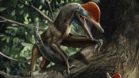 Life reconstruction of Kunpengopterus antipollicatus in the Tiaojishan paleoforest; opposed pollex depicted as being utilized in handling food items (a palaeontinid) and in clinging to trees (a ginkgo). Image credit: Chuang Zhao.