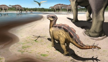 A life reconstruction of the stegosaur trackmakers and paleoenvironment 110 million years ago. Image credit: Kaitoge.