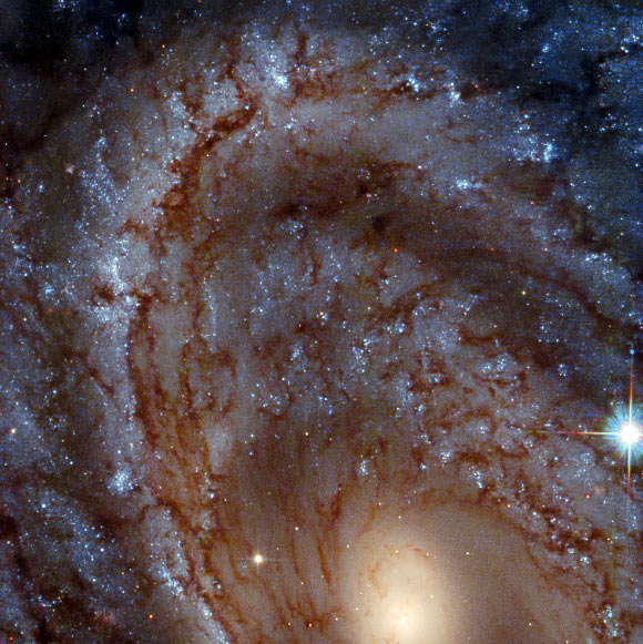 This Hubble image shows NGC 4603, a spiral galaxy some 107 million light-years away in the constellation of Centaurus. Image credit: NASA / ESA / Hubble / J. Maund.