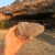 Shaar et al. unveil the oldest evidence of human activity in Wonderwerk Cave, South Africa. Image credit: Michael Chazan.