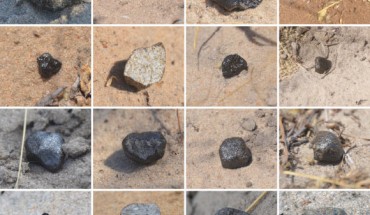 Asteroid 2018 LA in space (top left image by the Catalina Sky Survey) and the first 23 meteorites recovered on the ground as photographed in situ (scale of each figure is about 4 x 4 cm). Meteorites are shown in order of find (MP-01 top left, to MP-23 bottom right). Image credit: Jenniskens et al., doi: 10.1111/maps.13653.