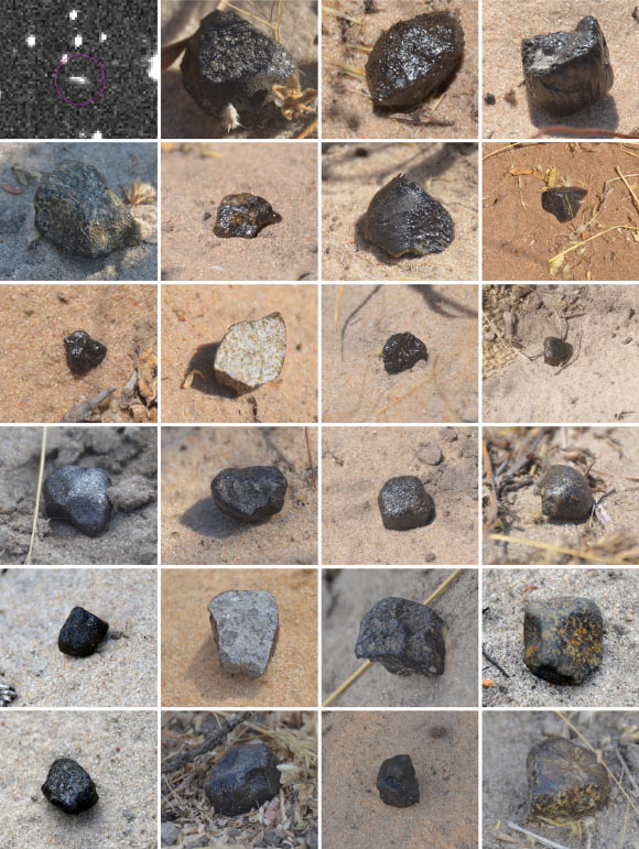 Asteroid 2018 LA in space (top left image by the Catalina Sky Survey) and the first 23 meteorites recovered on the ground as photographed in situ (scale of each figure is about 4 x 4 cm). Meteorites are shown in order of find (MP-01 top left, to MP-23 bottom right). Image credit: Jenniskens et al., doi: 10.1111/maps.13653.