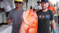 Etelis boweni, caught in American Samoa. Image credit: NOAA Fisheries.
