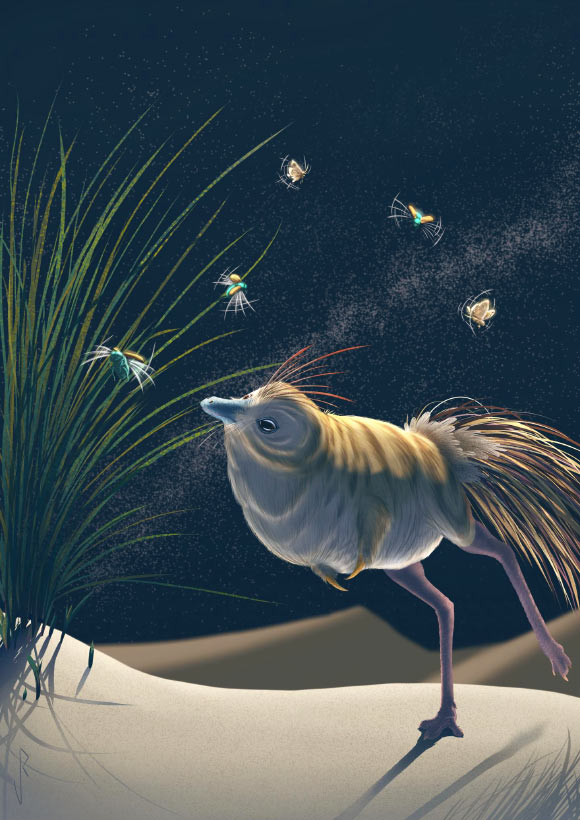 Life reconstruction of Shuvuuia deserti. Image credit: Viktor Radermaker.