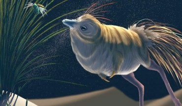 Life reconstruction of Shuvuuia deserti. Image credit: Viktor Radermaker.