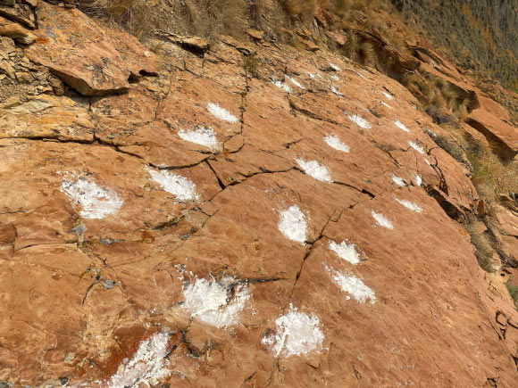 Section of the 58-million-year-old tracksite demonstrating near-vertical tilting of the originally horizontal bedding with three separate trackways made by five-toed mammals walking in parallel. Image credit: Anton Wroblewski.