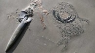 The belemnite Passaloteuthis bisulcata with preserved arm crown and remains of its prey. Image credit: Klug et al., doi: 10.1186/s13358-021-00225-z.