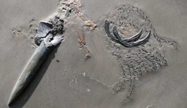 The belemnite Passaloteuthis bisulcata with preserved arm crown and remains of its prey. Image credit: Klug et al., doi: 10.1186/s13358-021-00225-z.