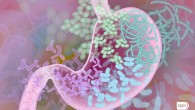 Kennedy et al. found that fetal gut colonization of healthy term infants does not occur before birth. Image credit: Darryl Leja, National Human Genome Research Institute, National Institutes of Health.