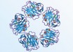 C-reactive protein, a marker for inflammation in the body, was found in higher levels in depressed people compared to non-depressed people. Image credit: Jawahar Swaminathan & MSD staff, European Bioinformatics Institute.