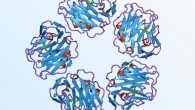C-reactive protein, a marker for inflammation in the body, was found in higher levels in depressed people compared to non-depressed people. Image credit: Jawahar Swaminathan & MSD staff, European Bioinformatics Institute.