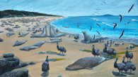 Reconstruction of Sea Elephant Bay circa 1802, with southern elephant seals and King Island emus. Image credit: Julian Hume.