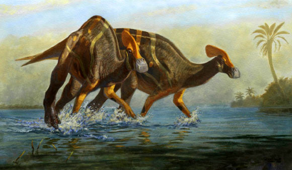Life reconstruction of Tlatolophus galorum. Image credit: Marco A. Pineda.