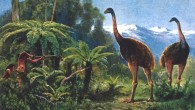 Moa browsed trees and shrubs within the forest understorey. Image credit: Heinrich Harder.