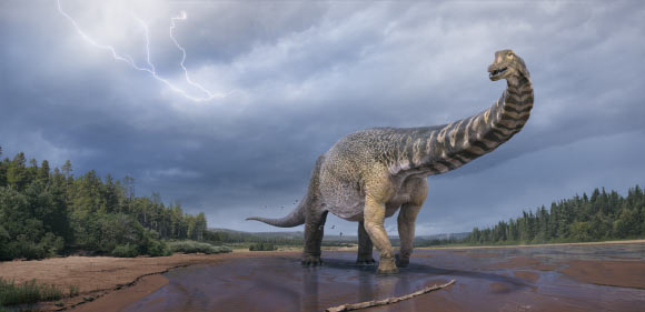 Life reconstruction of Australotitan cooperensis. Image credit: Vladislav Konstantinov / Scott Hocknull.