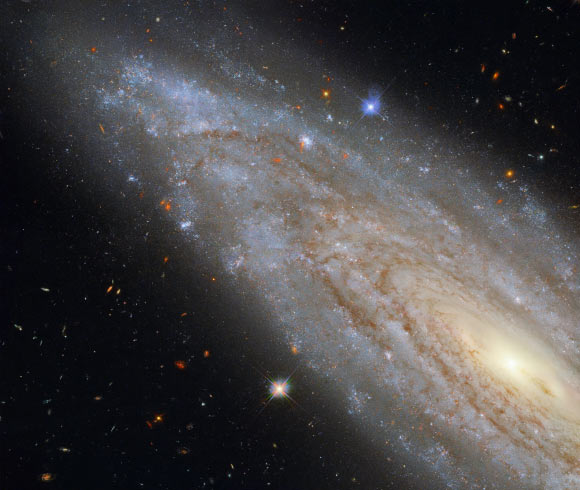 This Hubble image shows NGC 3254, a spiral galaxy located some 118 million light-years away in the constellation of Leo Minor. The color image was made from separate exposures taken in the visible and infrared regions of the spectrum with Hubble’s Wide Field Camera 3 (WFC3). Four filters were used to sample various wavelengths. The color results from assigning different hues to each monochromatic image associated with an individual filter. Image credit: NASA / ESA / Hubble / Riess et al.