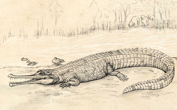 Artistic representation of Gunggamarandu maunala. Image credit: Eleanor Pease.