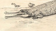 Artistic representation of Gunggamarandu maunala. Image credit: Eleanor Pease.
