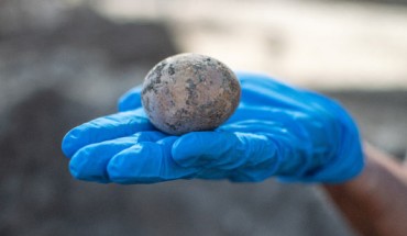 The 1,000-year-old chicken egg found at the archaeological site of Yavne in Israel. Image credit: Dafna Gazit, Yoli Schwartz & Gilad Stern, Israel Antiquities Authority.