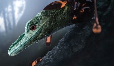 An artist’s impression of Oculudentavis naga, which was between 5 and 8 cm (2-3 inches) long, not including its tail. Image credit: Stephanie Abramowicz / Peretti Museum Foundation / Current Biology.