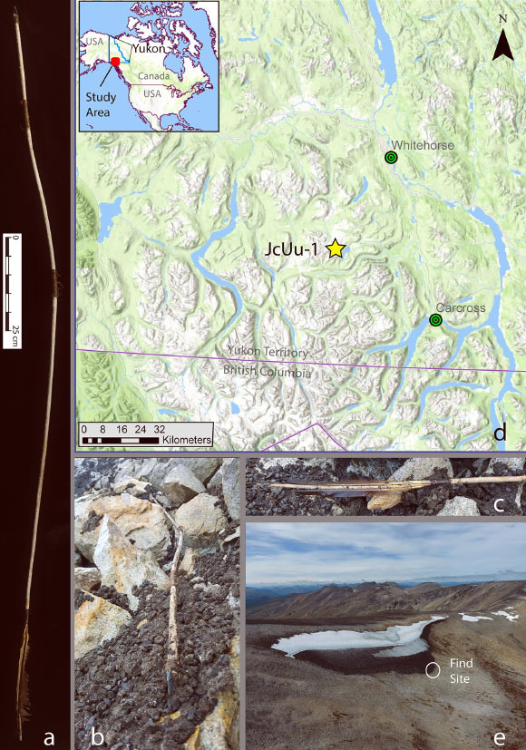 Photographs of the find location and the 6,000-year-old throwing dart recovered in 2018 in Yukon, Canada: (a) composite photograph of the dart; (b) dart in its discovery location, showing the distal end; (c) dart in its discovery location showing the proximal end; (d) map with location of the ice patch site JcUu-1, near Alligator Lake, southern Yukon, in the overlapping traditional territories of the Carcross/Tagish First Nation and the Kwanlin Dün First Nation; (e) view of the ice patch JcUu-1 from the west with approximate find location marked. Image credit: Yukon Government.