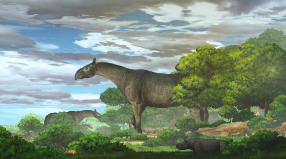 Life reconstruction of Paraceratherium linxiaense. Image credit: Yu Chen.