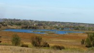 A part of the Boltysh impact structure near the village of Bovtyshka in Kivorohrads’ka oblast, Ukraine. Image credit: Wisetus / CC BY-SA 4.0.