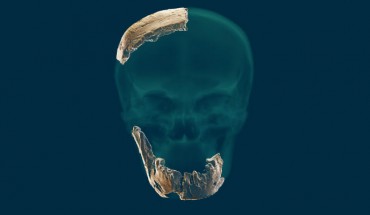 The fossilized remains of the Nesher Ramla hominin. Image credit: Tel Aviv University.