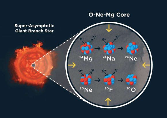 Artist’s impressions of a super-asymptotic giant branch star (left) and its core (right) made up of oxygen (O), neon (Ne), and magnesium (Mg); a super-asymptotic giant branch star is the end state of stars in a mass range of around 8-10 solar masses, whose core is pressure supported by electrons (e-); when the core becomes dense enough, neon and magnesium start to eat up electrons (so-called electron-capture reactions), reducing the core pressure and inducing a core-collapse supernova explosion. Image credit: S. Wilkinson, Las Cumbres Observatory.