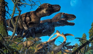 A pair of adult Nanuqsaurus tyrannosaurs and their young. Image credit: James Havens.