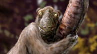 Life restoration of the koala lemur Megaladapis edwardsi. Image credit: Michael B. H. / CC BY-SA 3.0.